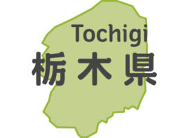 【栃木県正月イベント】初日の出（明智平駐車場）｜明智平駐車場｜2020年