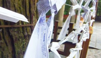 【茨城県正月イベント】白馬祭（おうめさい）